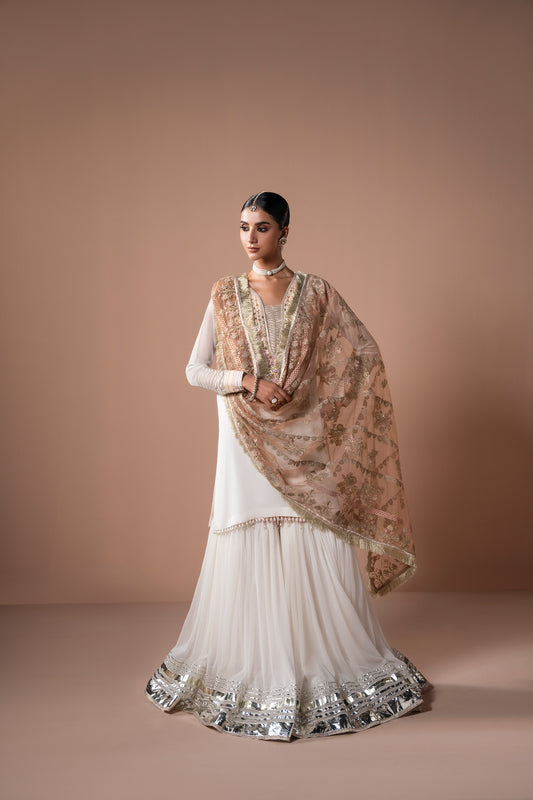 Gulnaz (Gharara 3 piece)