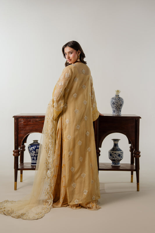Marigold Muse