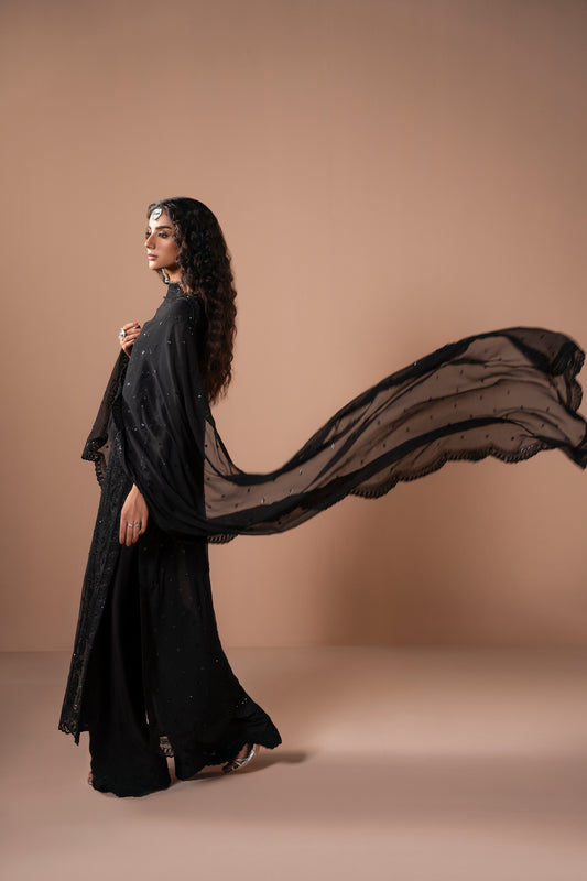 Gulnoor (Long shirt 3 piece)